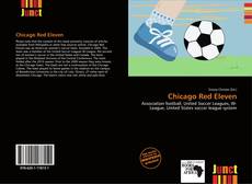 Bookcover of Chicago Red Eleven