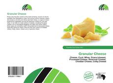 Buchcover von Granular Cheese