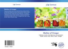 Capa do livro de Mother of Vinegar 