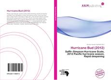 Buchcover von Hurricane Bud (2012)