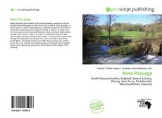 New Passage的封面