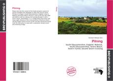 Buchcover von Pilning