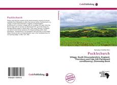 Bookcover of Pucklechurch