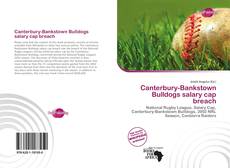 Bookcover of Canterbury-Bankstown Bulldogs salary cap breach