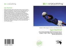 Igor Bachner的封面