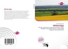 Bookcover of Willsbridge