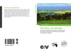 Capa do livro de Westbury-sub-Mendip 