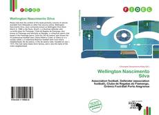 Capa do livro de Wellington Nascimento Silva 