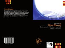 Bookcover of Aiden Blizzard