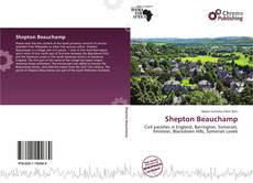 Capa do livro de Shepton Beauchamp 