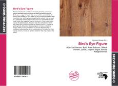 Borítókép a  Bird's Eye Figure - hoz