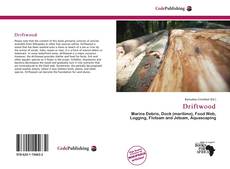 Bookcover of Driftwood