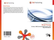 Buchcover von Brad Young