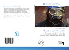 Bookcover of Developmental Toxicity