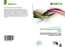 Capa do livro de 2010 Camparini Gioielli Cup 