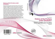 Capa do livro de History of the Puritans under Elizabeth I 