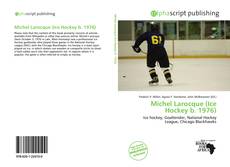 Bookcover of Michel Larocque (Ice Hockey b. 1976)