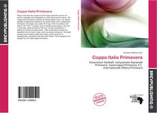 Capa do livro de Coppa Italia Primavera 