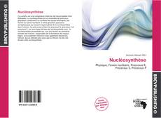 Nucléosynthèse kitap kapağı