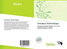 Couverture de Amadeus Wallschläger