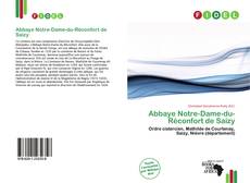 Capa do livro de Abbaye Notre-Dame-du-Réconfort de Saizy 