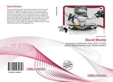 Capa do livro de David Shantz 