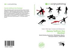Danny Sullivan (Ice Hockey)的封面