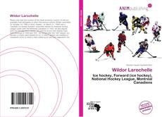 Buchcover von Wildor Larochelle