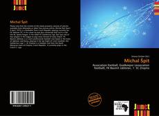 Bookcover of Michal Špit