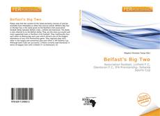 Bookcover of Belfast's Big Two