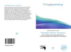 Bookcover of Triangle Soccer Fanatics