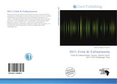 Bookcover of 2011 Città di Caltanissetta