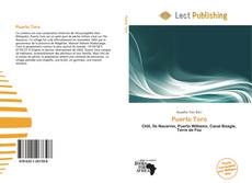 Capa do livro de Puerto Toro 