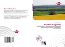 Newton Burgoland kitap kapağı