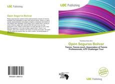 Bookcover of Open Seguros Bolívar