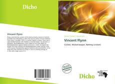 Couverture de Vincent Flynn