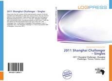 Couverture de 2011 Shanghai Challenger – Singles