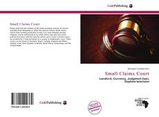 Bookcover of Small Claims Court