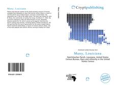 Bookcover of Many, Louisiana