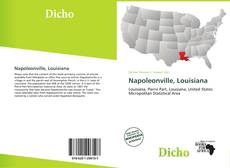 Portada del libro de Napoleonville, Louisiana