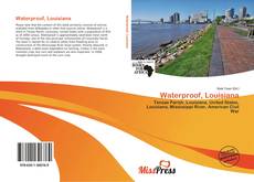 Bookcover of Waterproof, Louisiana