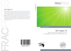 2011 Open 13 kitap kapağı