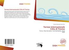 Bookcover of Torneo Internazionale Citta di Treviso