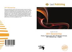 Portada del libro de 2011 Saransk Cup