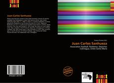 Bookcover of Juan Carlos Sanhueza