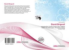 Capa do livro de David Brignull 