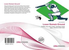 Capa do livro de Lower Domain Ground 