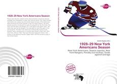 1928–29 New York Americans Season kitap kapağı