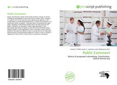 Public Comment的封面