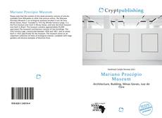 Bookcover of Mariano Procópio Museum